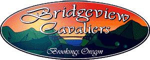 Cavalier King Charles Spaniels of Oregon - Bridgeview Cavaliers